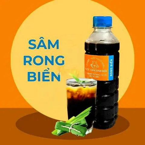 Hình ảnh 1 Chai sâm rong biển