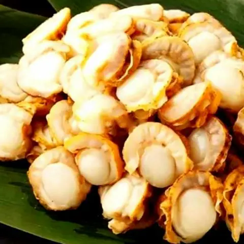 Hình ảnh Sò Điệp Nhật