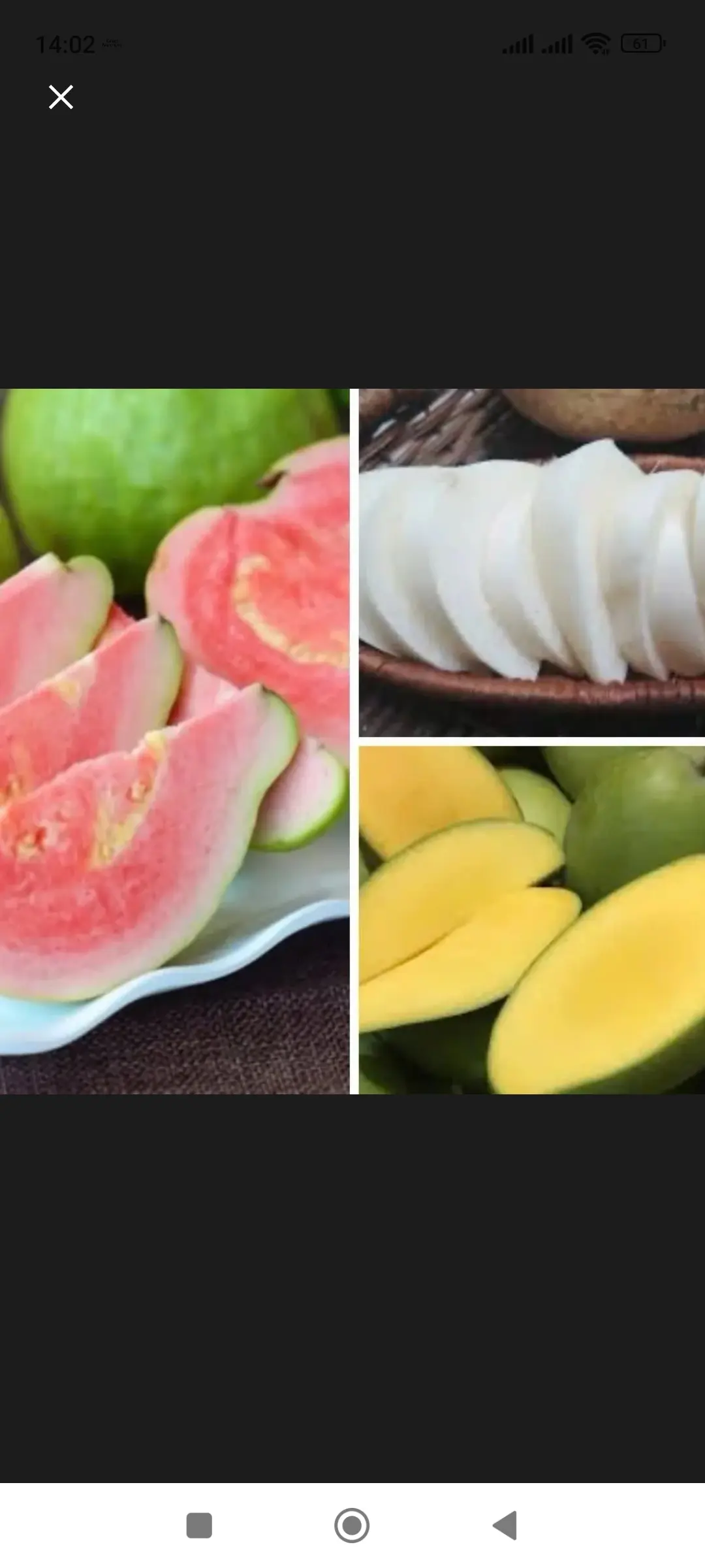 Hình ảnh Ổi xoài củ sắn hộp 1kg