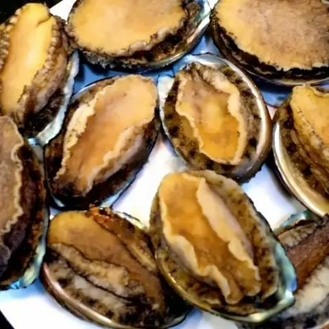 Hình ảnh Bào ngư