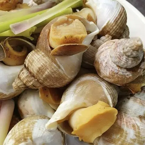 Hình ảnh ốc bulot xào bơ tỏi bắp