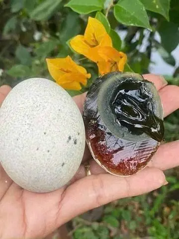 Hình ảnh Trứng Vịt Bách Thảo 5 Quả