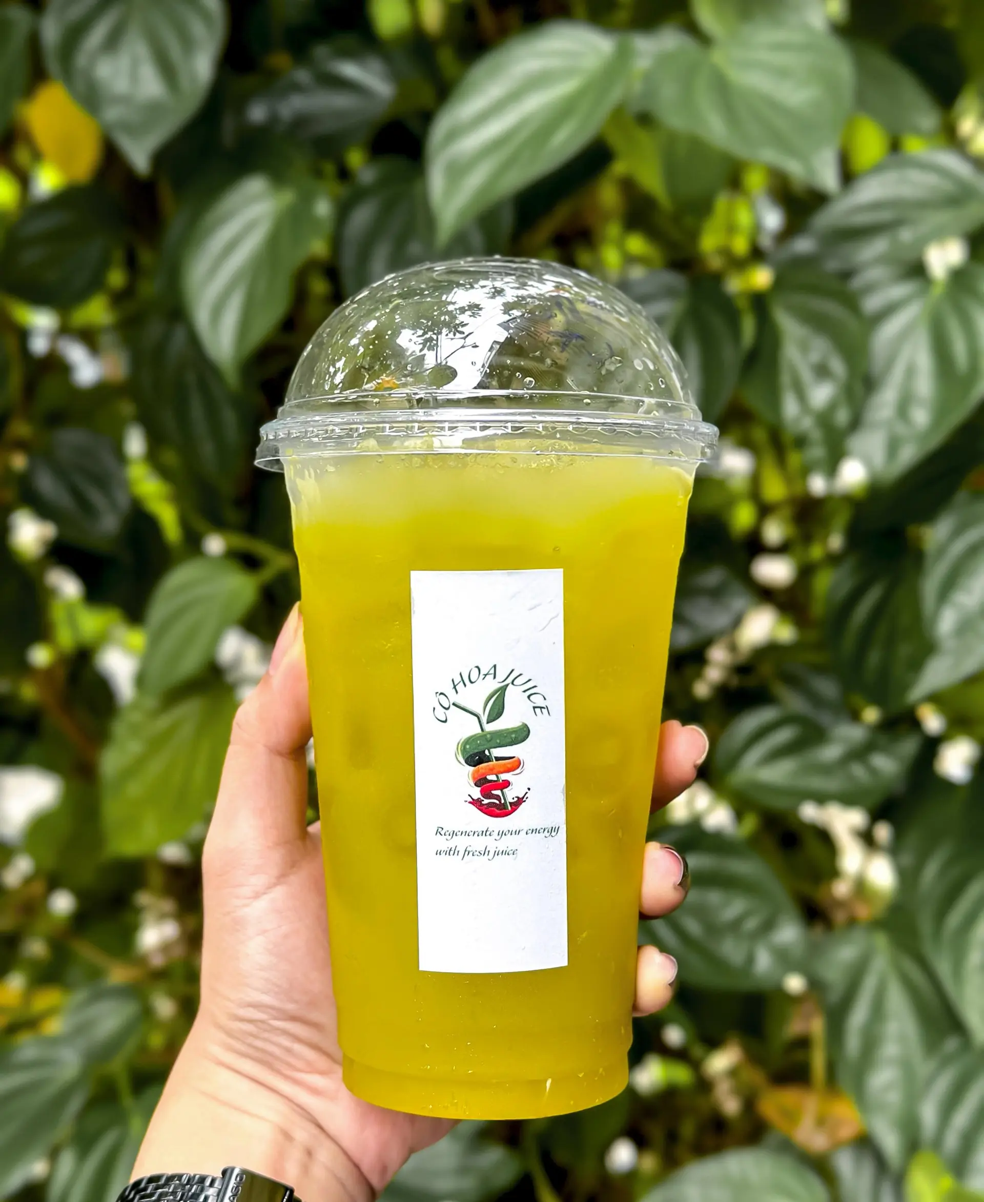 Hình ảnh Nước Ép Thơm ( mix 2 loại ) 