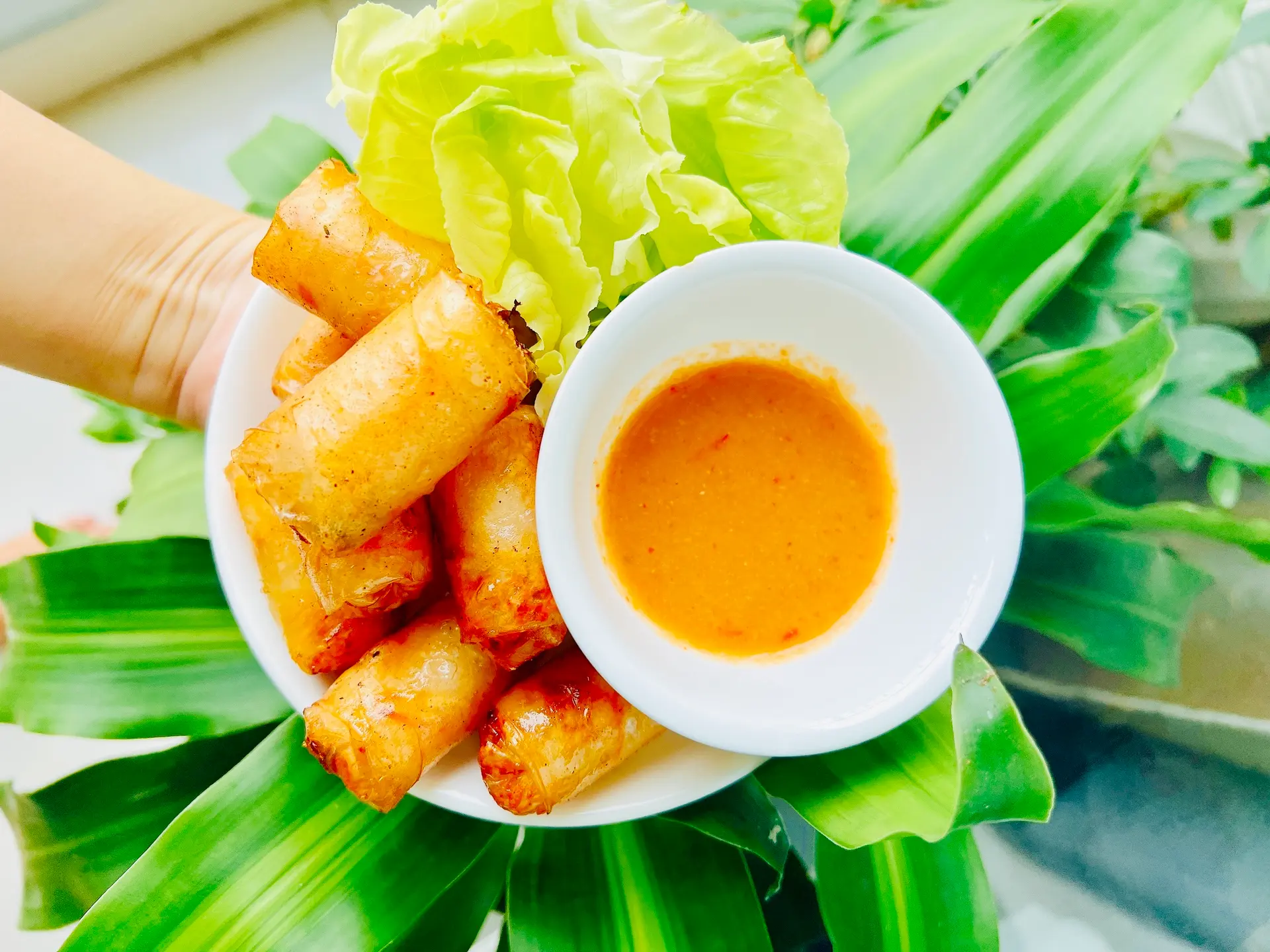 Hình ảnh Chả giò cuốn cá trích