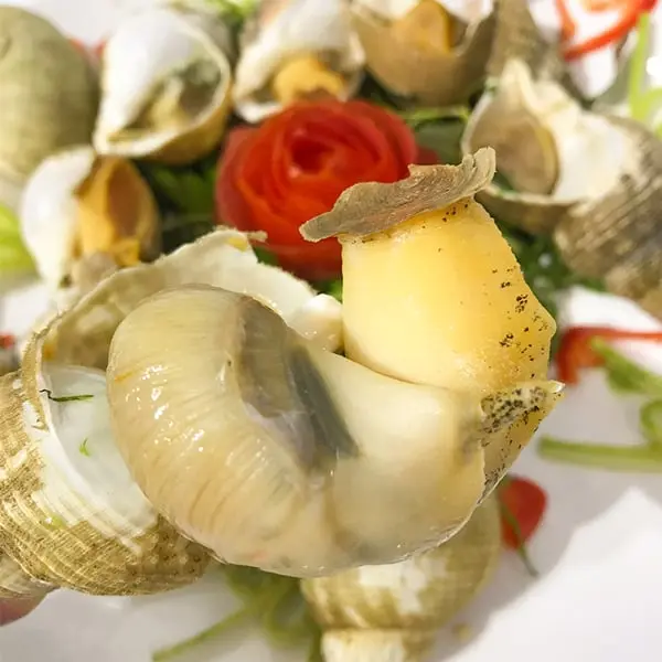 Hình ảnh Bulot Hấp Sả ( 3 hoặc 4 con ).