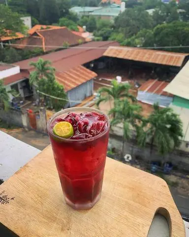 Hình ảnh Atiso Đỏ Trân Châu Trắng
