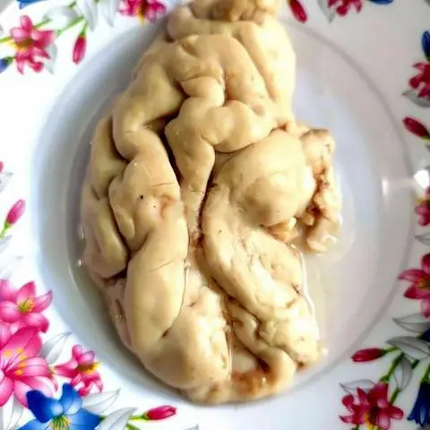 Hình ảnh Nửa Bộ Óc 