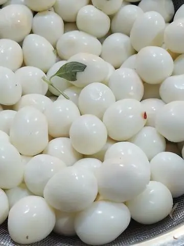 Hình ảnh 10 trứng cút