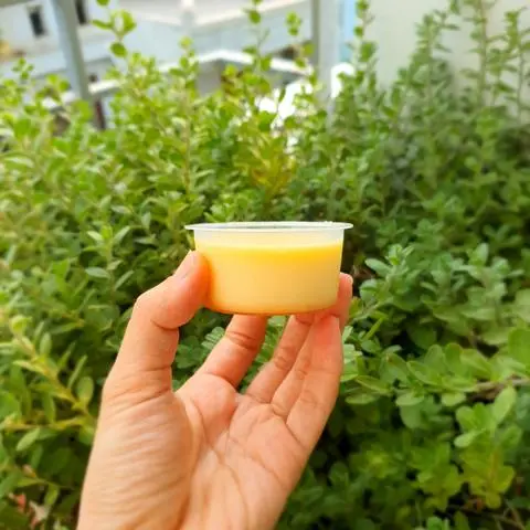 Hình ảnh Bánh flan