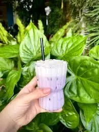 Hình ảnh Khoai Môn Sữa Gấu size L