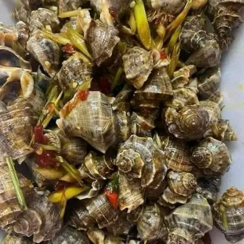 Hình ảnh ốc gai xào sả ớt