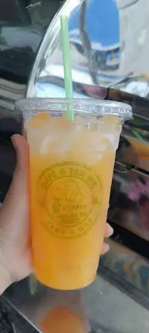 Hình ảnh CAM VẮT 