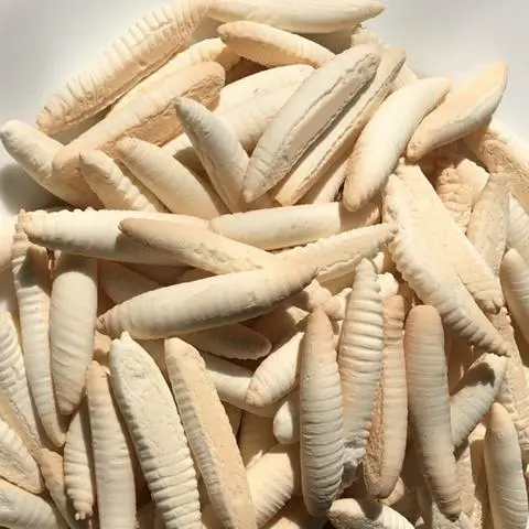 Hình ảnh Bánh men sâu trắng