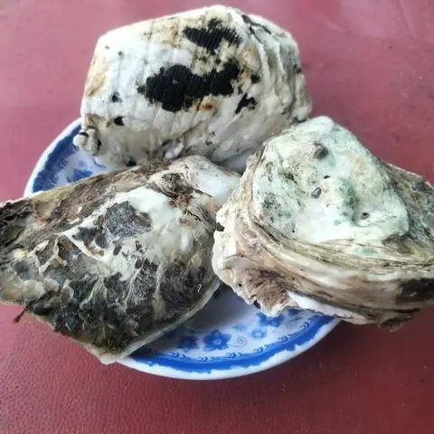 Hình ảnh Hào nướng phô mai 3 con 