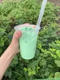 Hình ảnh Sâm dứa sữa