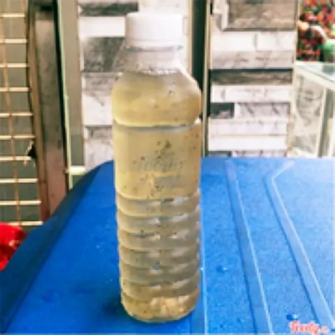 Hình ảnh Bông cúc hạt chia