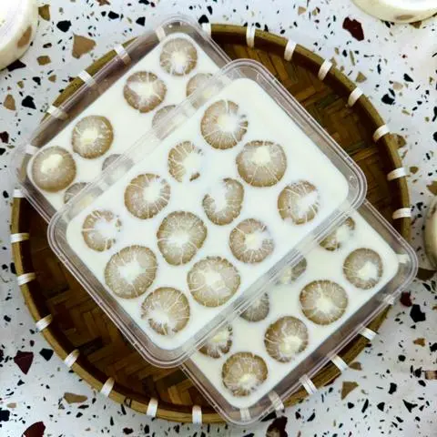 Hình ảnh Khúc Bạch Vải Nhân Phômai - size lớn