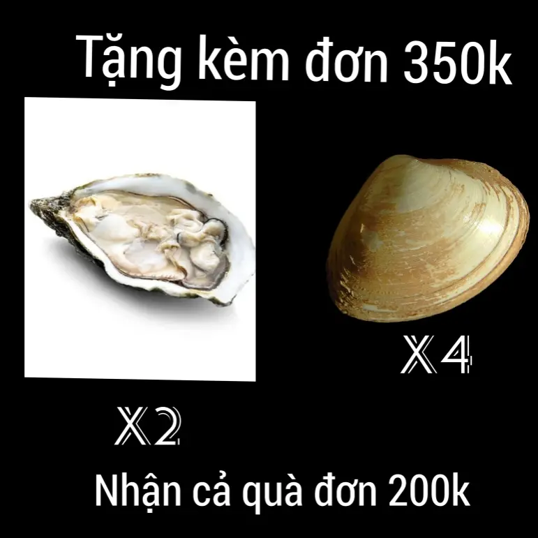 Hình ảnh Quà mẹt ốc hấp đơn 350k (4 hàu sữa nướng hoặc vọp)