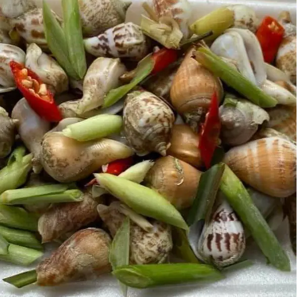 Hình ảnh Ốc Nhảy Hấp Xả