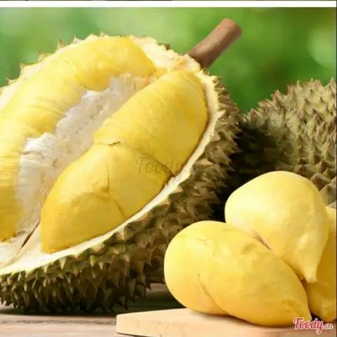 Hình ảnh Sinh tố sầu riêng