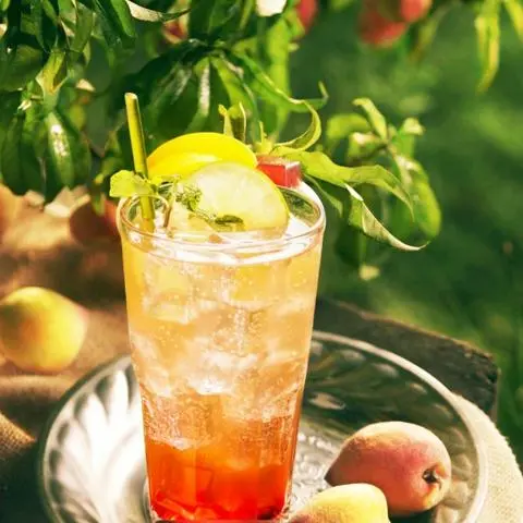 Hình ảnh Detox Guru 
