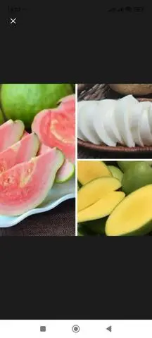Hình ảnh Ổi xoài củ sắn hộp 700g