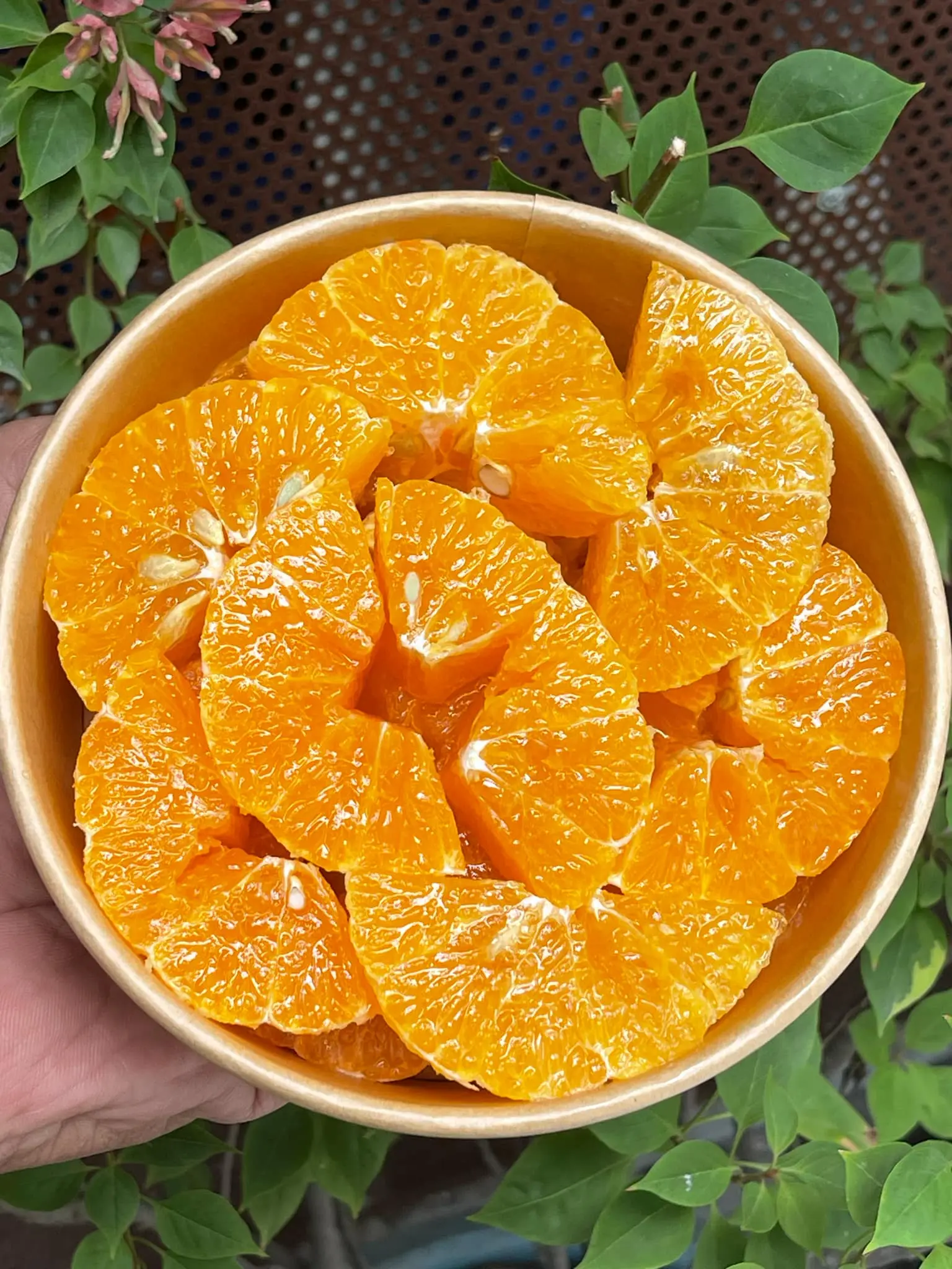Hình ảnh Quýt Úc 500g