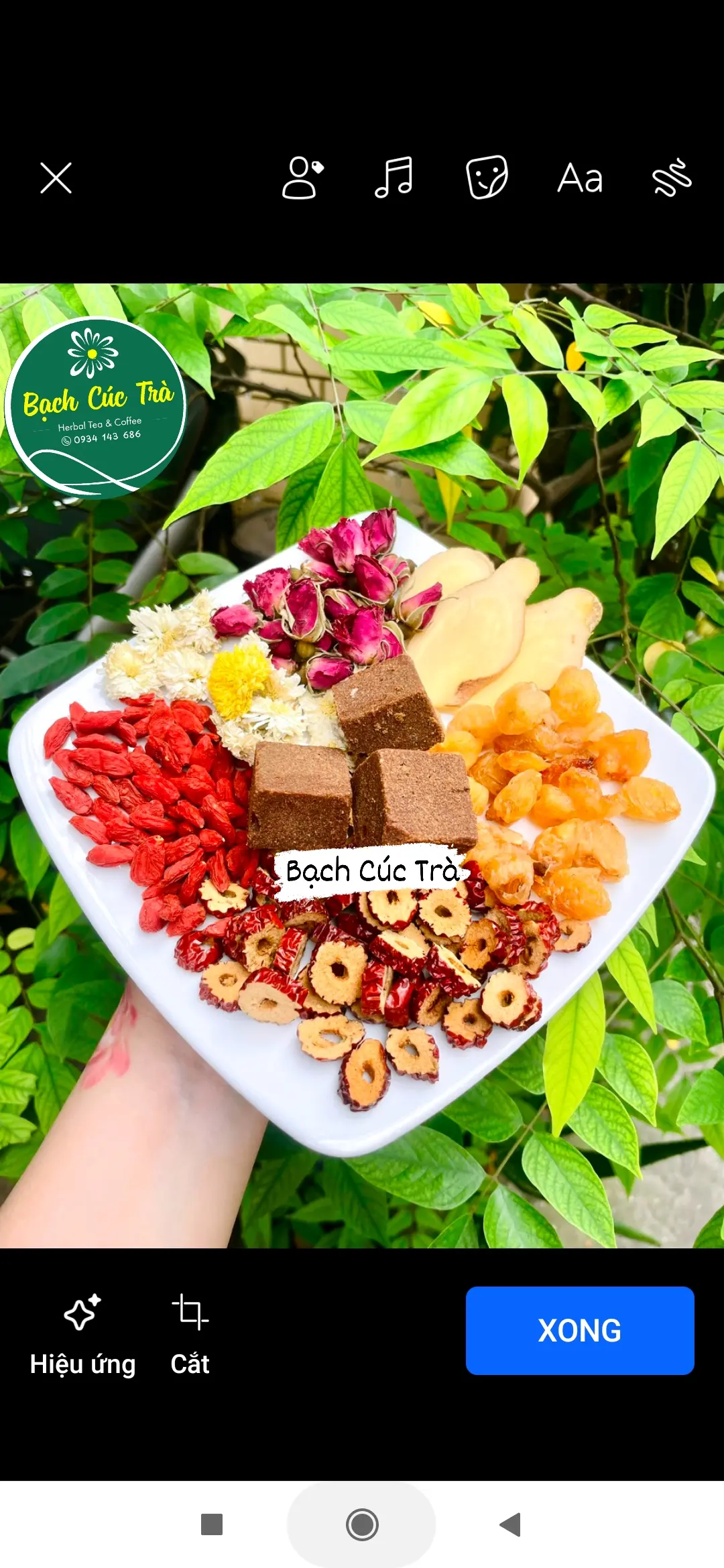 Hình ảnh Trà Gừng Tươi Đường Đỏ Vân Nam - Hoa Mộc ( Trà Nóng )