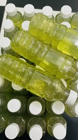 Hình ảnh Nước nha đam lá dứa hạt chia