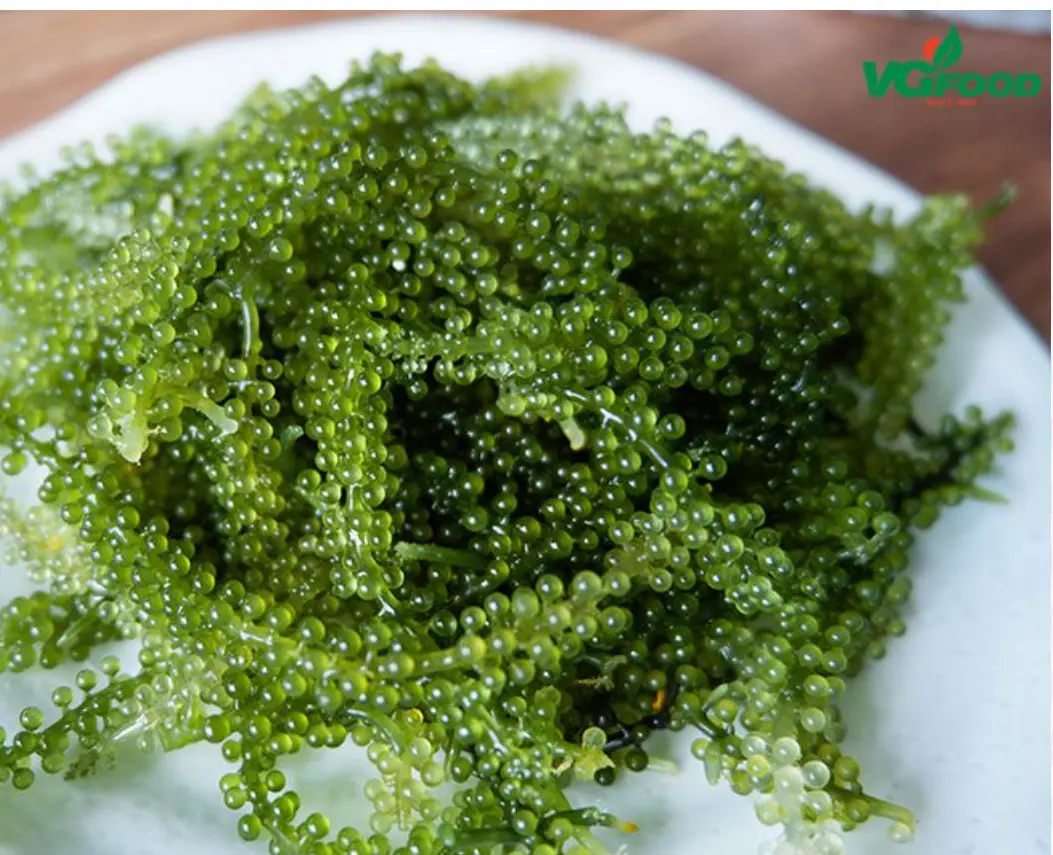 Hình ảnh Rong nho - 100gr