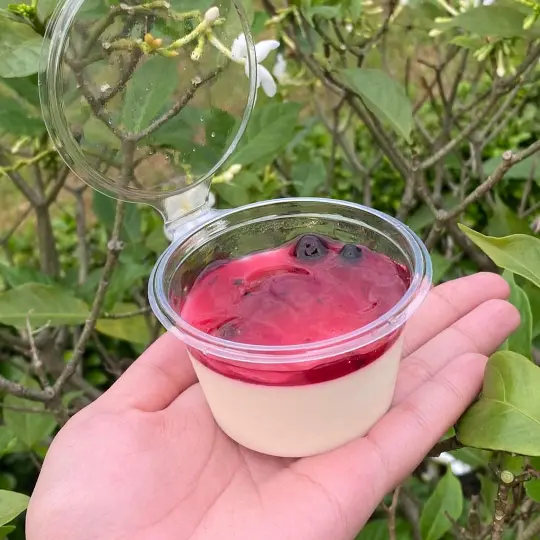 Hình ảnh 2 Panna Cotta việt quất