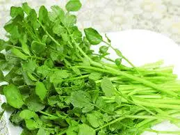 Hình ảnh Rau  sà lách xoang 