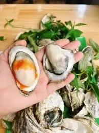 Hình ảnh Hàu hấp 22 con