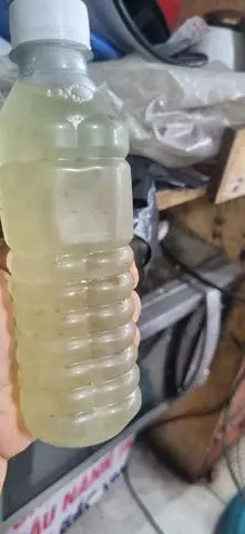 Hình ảnh nha đam hat chia nhà nấu 1 chai