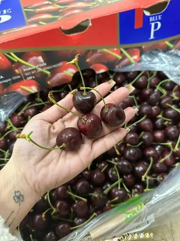 Hình ảnh Cherry Ngon 