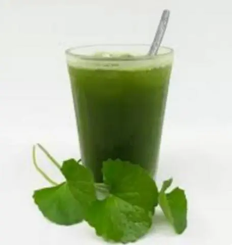 Hình ảnh RAU MÁ SỮA 