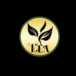 Hình ảnh COMBO 4 TRÀ - COMBO 4 Fruit Tea