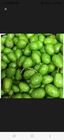 Hình ảnh Cóc non gọt sẵn kèm muối 500gr