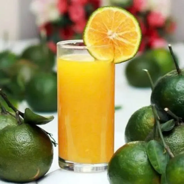 Hình ảnh Ép cam 500ml