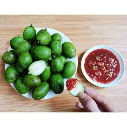 Hình ảnh Cóc non mắm ruốc