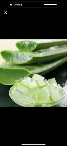 Hình ảnh Nha Đam Tươi
