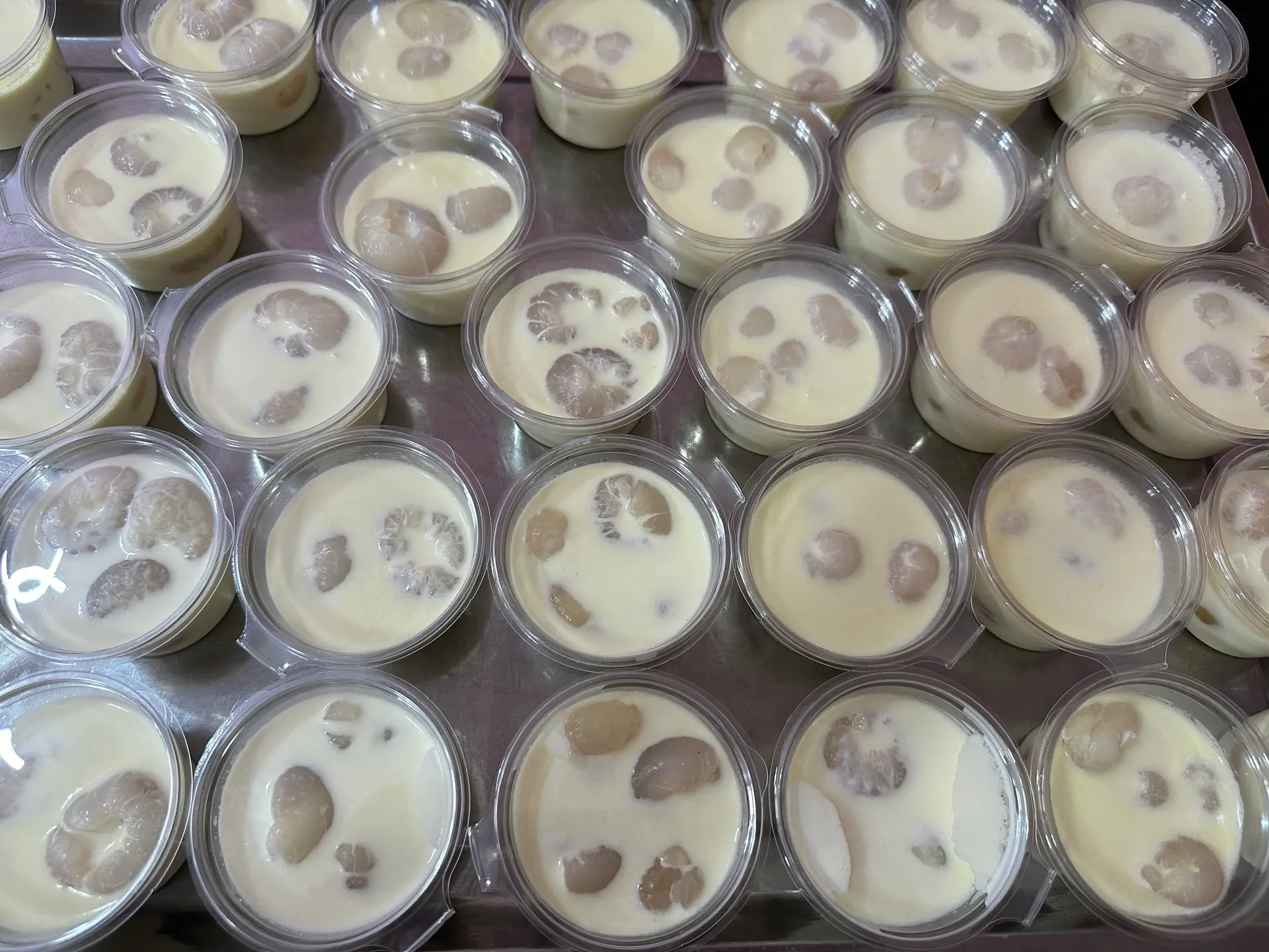 Hình ảnh KHÚC BẠCH NHÃN TƯƠI