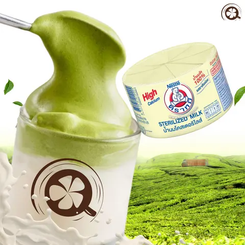 Hình ảnh Sữa Gấu Kem Matcha