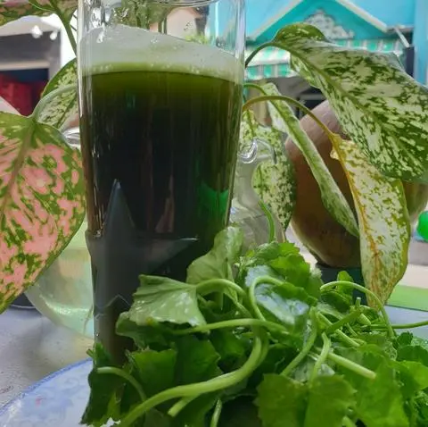 Hình ảnh rau má nước dừa tươi ly lớn