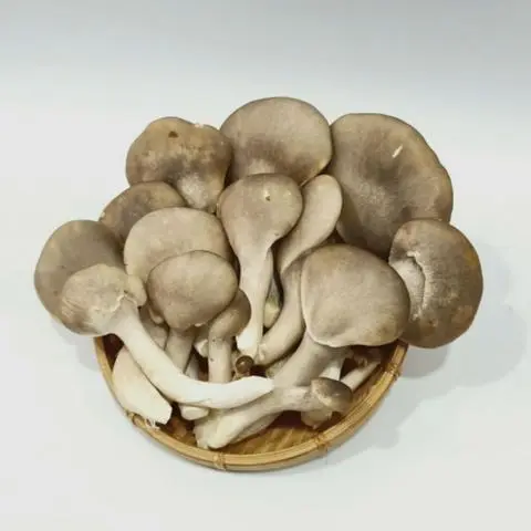 Hình ảnh Nấm Thêm