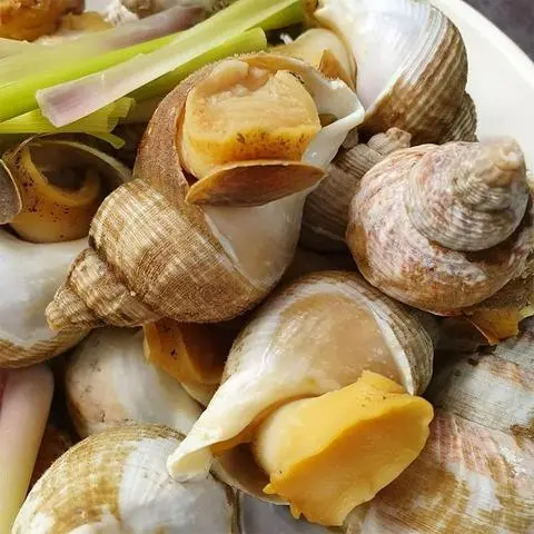 Hình ảnh ốc bulot hấp xả