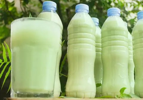Hình ảnh Đậu nành bạc hà