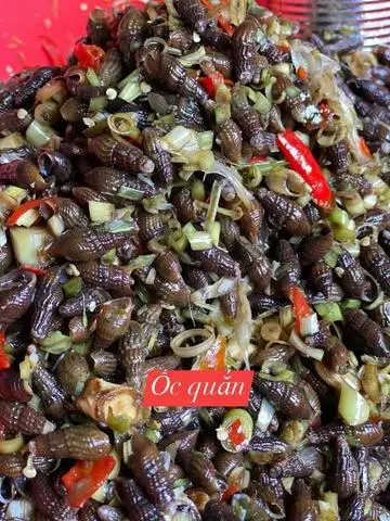 Hình ảnh Ốc Quắn ( Gai Suối ) Xào Sả Ớt “Ốc Tuổi Thơ “