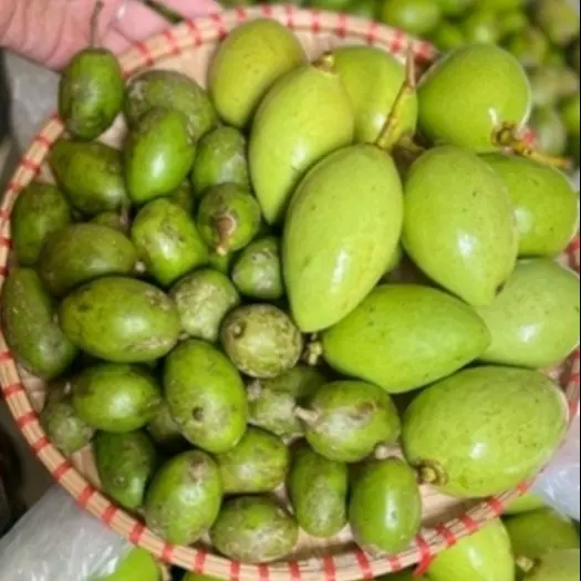 Hình ảnh Xoài non + cóc non còn vỏ 0,5kg