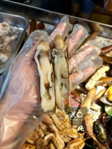 Hình ảnh Ốc móng tay